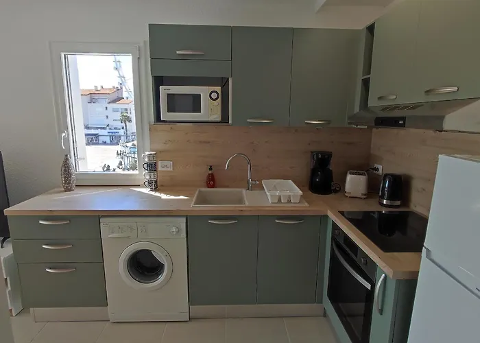 Cap D'agde F3 Belle Vue Port Avec Garage Piscine Climatisation